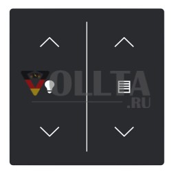 Контакт ABB Stotz 2CKA006199A0244 в качестве клавишного переключателя 2-fmSymbol затемнение/заглушка