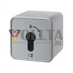 Berker 4466 Druckguss     IP44 панель переключателя с замком 16А,  для накладной, для наружного монтажа цвет: алюминевый