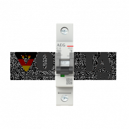 Busch-Jaeger 2CDS251088R0064 Elfaplus 6kA C-6A 1P автоматический выключатель
