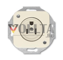 Busch-Jaeger 3016 EUC-212 Вставка розетки Busch-Nema с центральной платой, 2-полюсная (2 P + E), 20 A белая