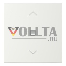 ABB Stotz контакт 2CKA006199A0336 как клавиша 1-fmSymbol заглушка