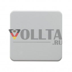 Berker 155009 WG UP выключатель света/датчик крышка, цвет:полярная белизна, тон:глянец
