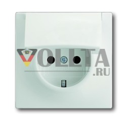 Busch-Jaeger 20 EUK-774 розетка SCHUKO®, с откидной крышкой, студийный белый матовый