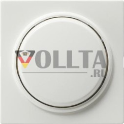 Gira 026140 крышка + клавиша привинчиваемая S-Color чистый белый
