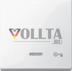 Schneider серия: Merten 435319 System M контрольный выключатель / контрольная кнопка крышка, c штамп ключ цвет:полярная белизна, тон:глянец