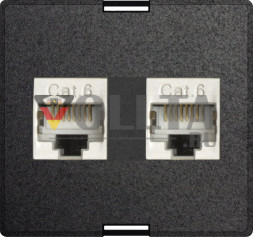 EVOline 2x RJ45/CAT6/экранированный сменный модуль