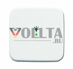 Busch-Jaeger 6231-10-214 крышка, 1-я, символ свет, Reflex SI, цвет: альпийский белый