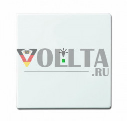 Busch-Jaeger 6231-10-84 крышка, 1-я, Future linear, символ свет, цвет: белый