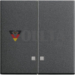 Gira 063128 System55 Клавиши для сдвоенных выключателей/двойная, клавиша цвет:антрацит