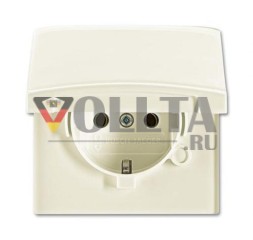 Busch-Jaeger 20 EUGK-32-101 розетка SCHUKO®, с откидной крышкой, белая
