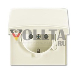 Busch-Jaeger 20 EUGKB-32-101 розетка SCHUKO®, с откидной крышкой, белая