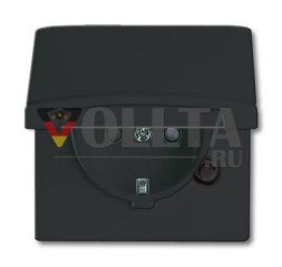 Busch-Jaeger 20 EUGKB-35-101 розетка SCHUKO®, с откидной крышкой, антрацит